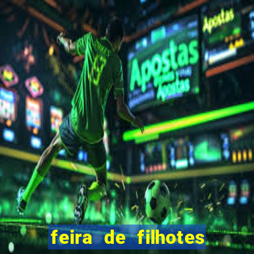 feira de filhotes porto alegre